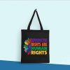 Reproductive Rights Human Rights Tote Bag, Abortion Is Healthcare Bag, Women’s Rights Pro-Choice, Roe V Wade, Canvas Tote