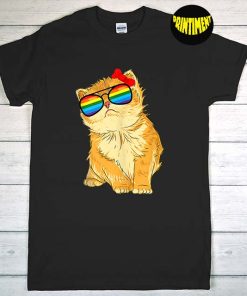 Cat LGBT Gay Rainbow Pride Flag T-Shirt, Gay Pride LGBTQ Tee, Cat Lover Gift, Sunglasses Shirt, Equality Shirt