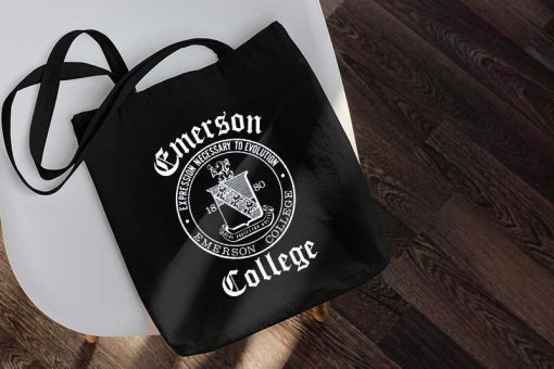 Stranger Things Emerson College Tote Bag, Stranger Things 4 Bag, Emerson College 1880, Nancy Wheeler Tote Canvas, Shopping Bag, Tote Bag