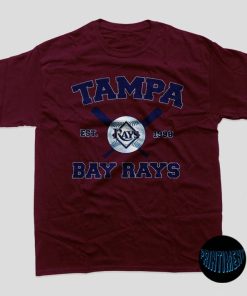 Tampa Bay Rays T-Shirt, MLB 2022, Baseball Shirt, Sport Shirt, Tampa Bay Shirt, Tampa Bay Rays Fan Gift