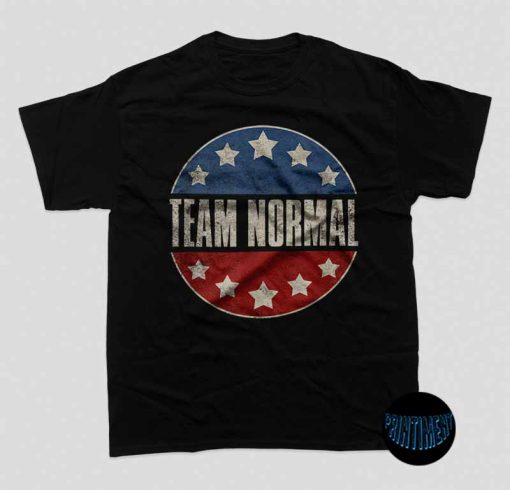 Normal Team T-Shirt, Fit Distressed Shirt, Team Normal Bill Stepien Shirt, Team America Shirt, Teamnormal Unisex Tee