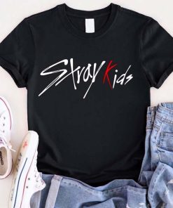 Stray Kids T-Shirt, Kpop Music Shirt, Stray Kids the Reason, KPOP Lover Shirt, Korean Music Lover
