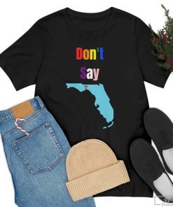 Don't Say Florida T-Shirt, Gay Pride Gay Rights are Human Rights Shirt