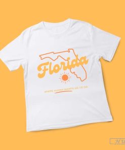 Florida Where Human Rights Go To Die T-Shirt, Political Liberal Democrat Vote, Ron DeSantis Tee