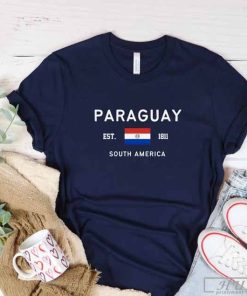 Paraguay Shirt, Paraguayan Flag T-Shirt, Unisex Soft and Comfortable Shirt