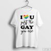 I Love You Just the Gay You Are T-Shirt, LGBT Pride Shirt, Rainbow shirt, Pride Shirt Gift
