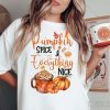 Fall T-shirt, Pumpkin Spice and Every Thing Nice, Thanksgiving Pumpkin Shirt, PSL Lover Tee Shirt, Autumn Hoodie, Fall Pumpkins Tee