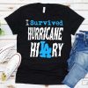 Hurricane Hilary Survivor T-shirt