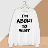 Nice I'm About to Bust Shirt, Vintage Shirt