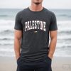 Palestine Shirt, Free Palestine Shirt, Palestinian Lives Matter Shirt, Human Civil Rights, Equality Shirt, Palestinian Shirt