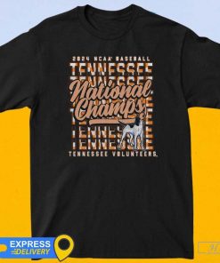 Official Tennessee Volunteers 2024 NCAA Men’s Baseball College World Series Champions Comfort Colors T-shirt