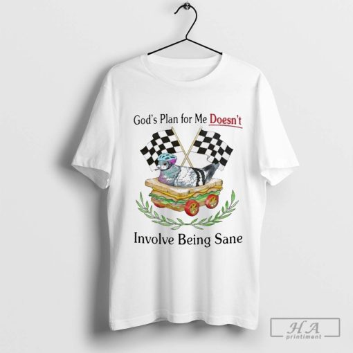 God’s Plan For Me Doesn’t Involve Being Sane Graphic T-shirt