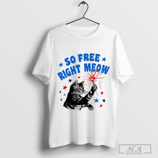 So Free Right Meow Firework Shirt