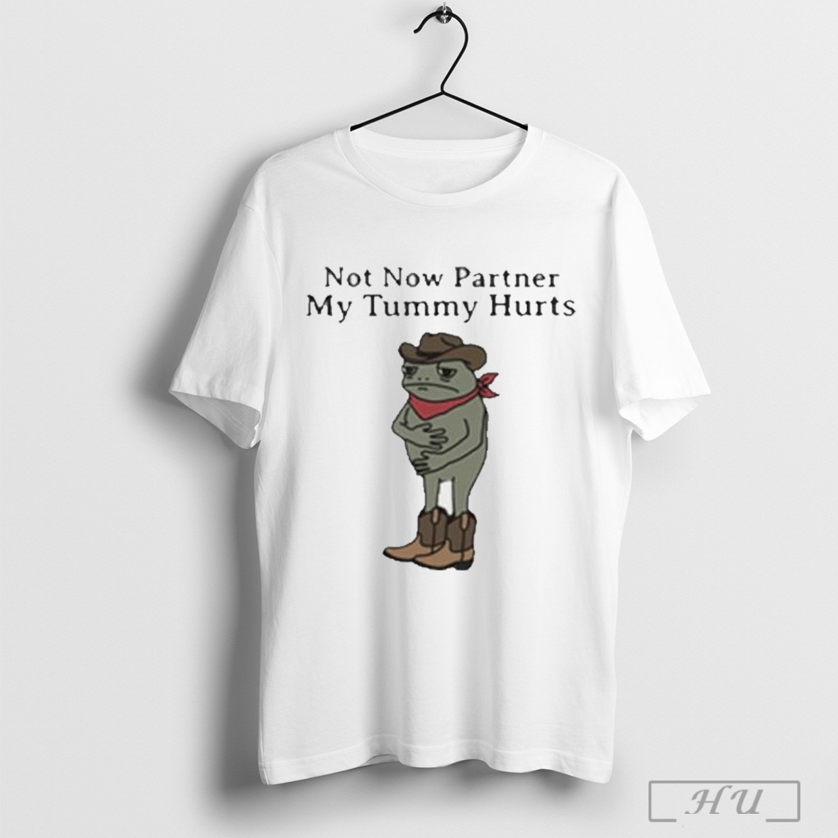 Not Now Partner My Tummy Hurts T Shirt