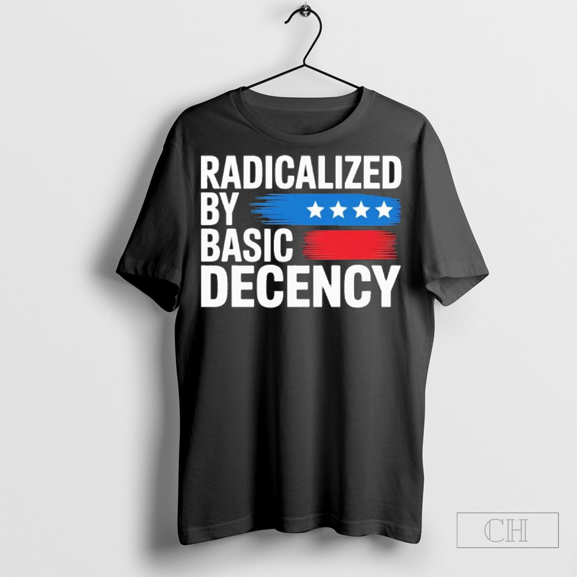 Radicalized By Basic Decency Funny Tee Sweatshirt Tee Shirt