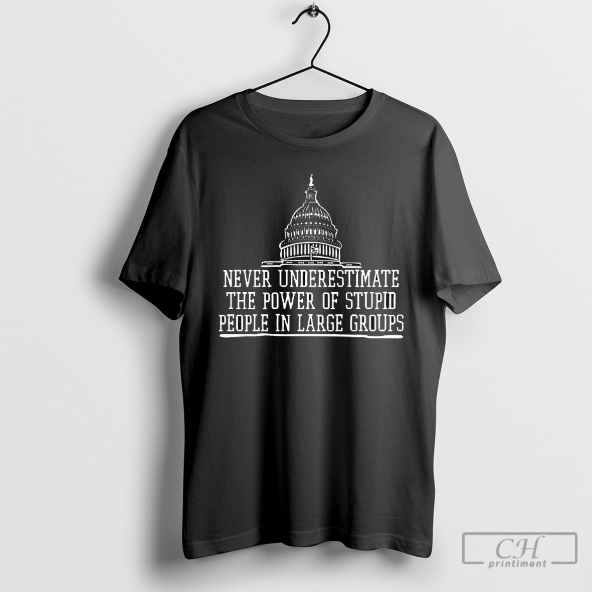 Never Underestimate The Power Of Stupid People In Large Groups Shirt