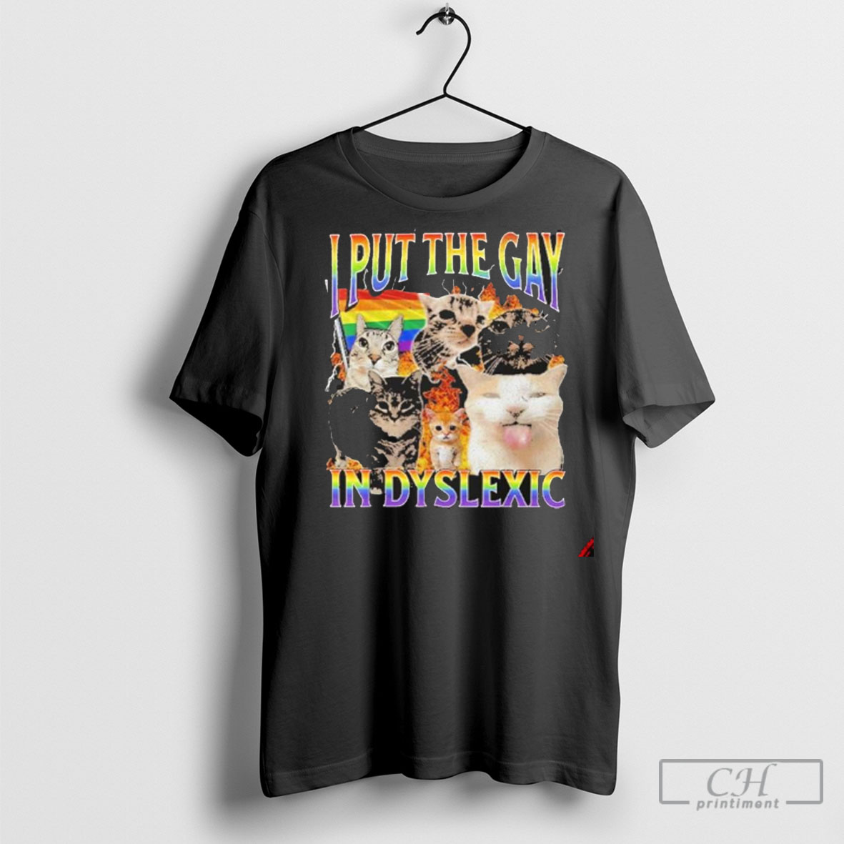 Cat In Put The Gay In Dyslexic T Shirt