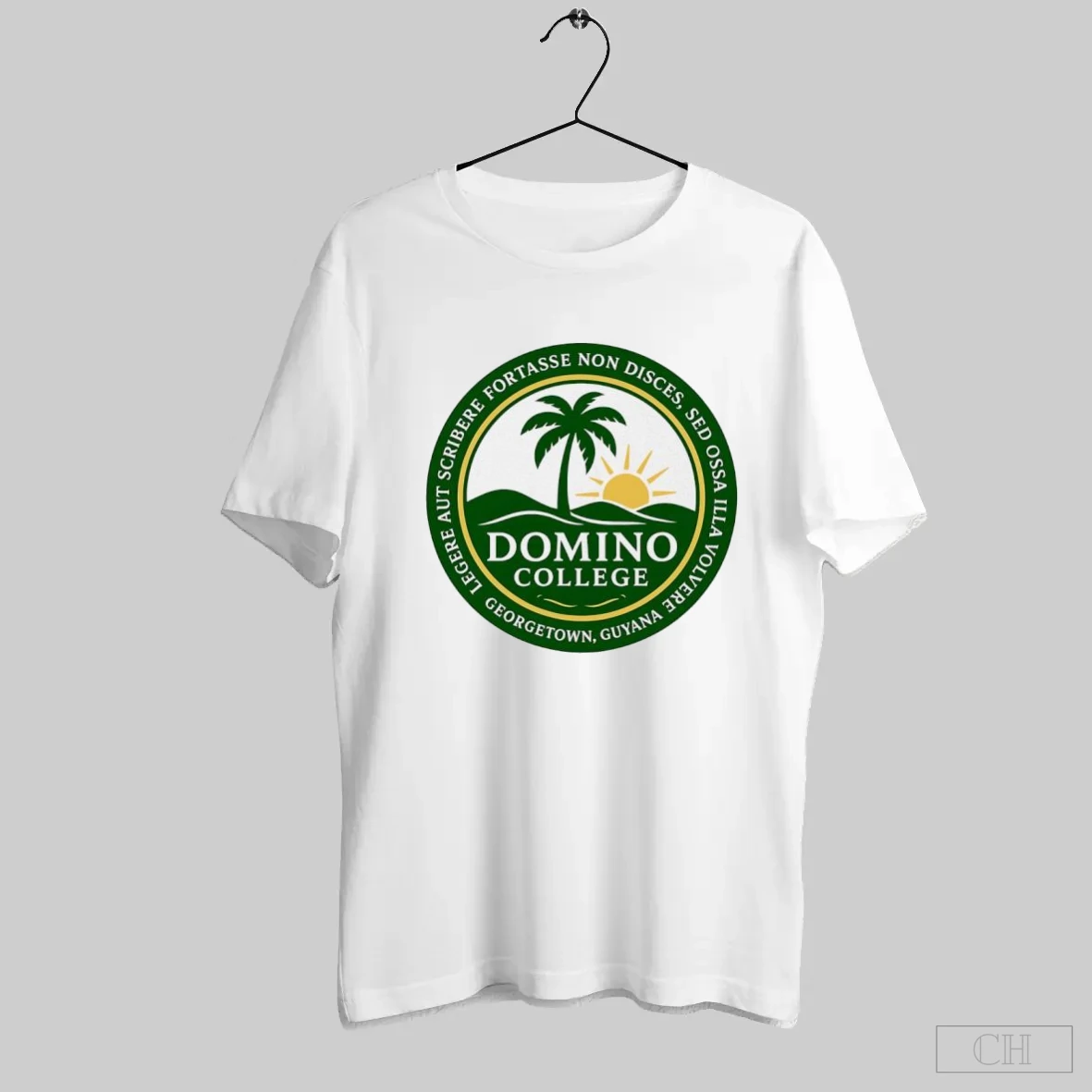 Domino College Logo Shirt Tee Hoodie
