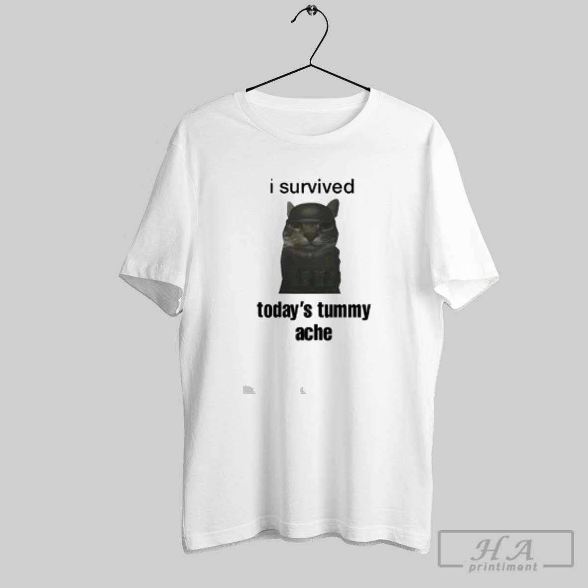 Official Cat I Survived Todays Tummy Ache Shirt