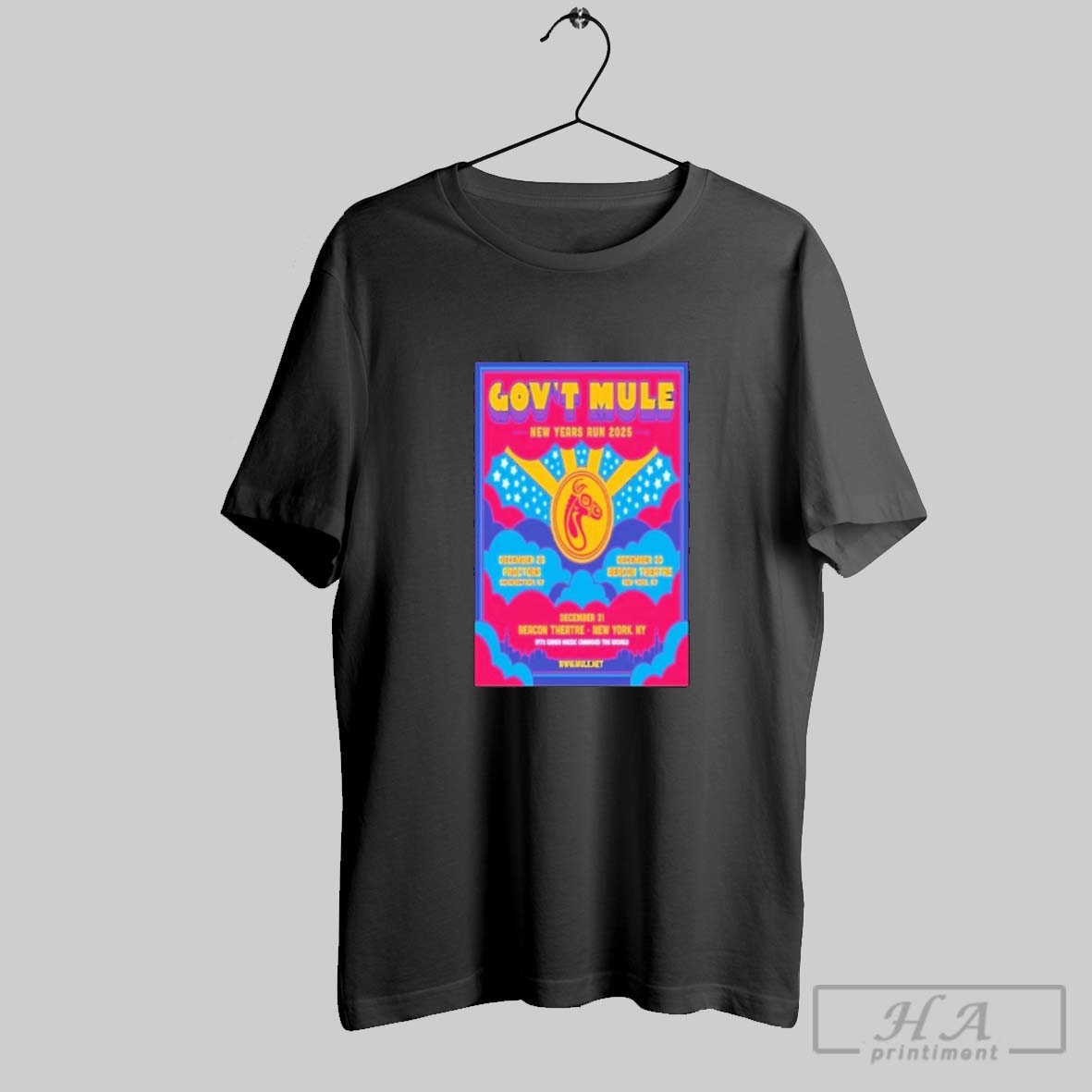 Official Govt Mule New Years Rin Dec 28 30 31 2025 New York Shirt