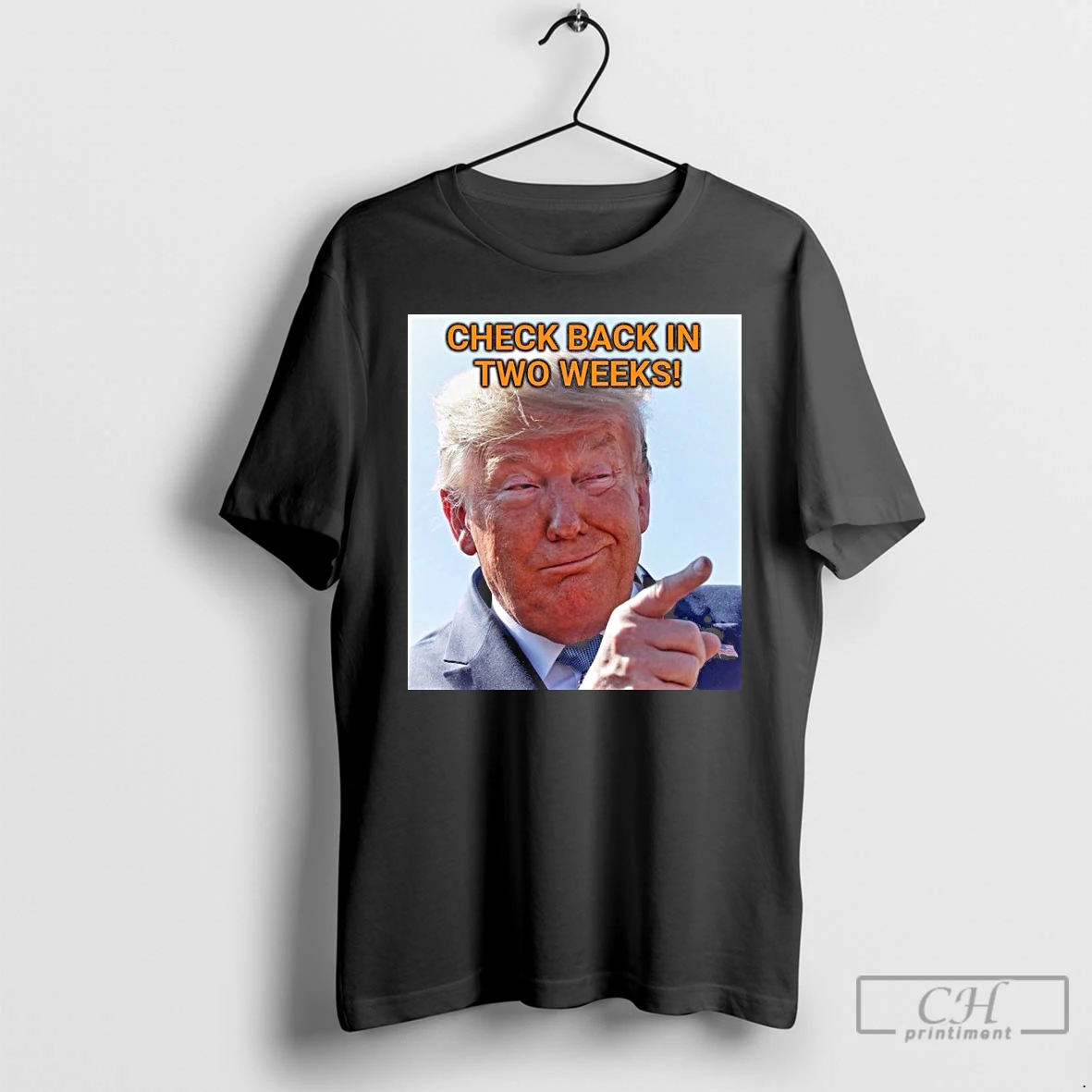 Classic Check Back In Two Weeks Donald Trump T Shirts Hoodie