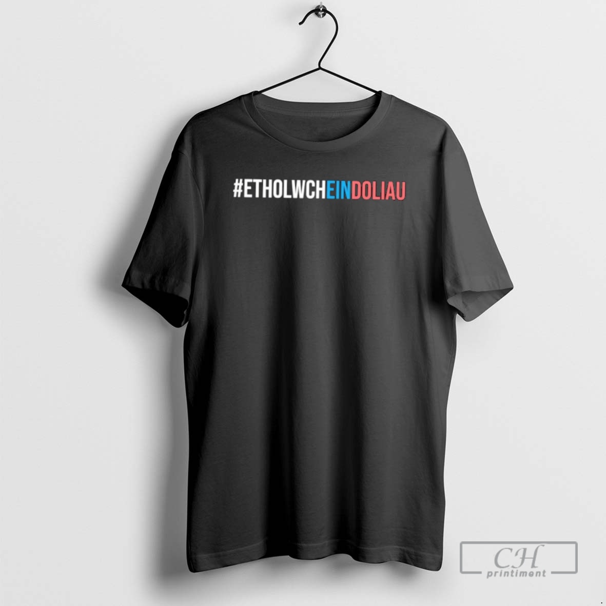 Classic Etholwcheindoliau Pride Flag Shirt Sweater