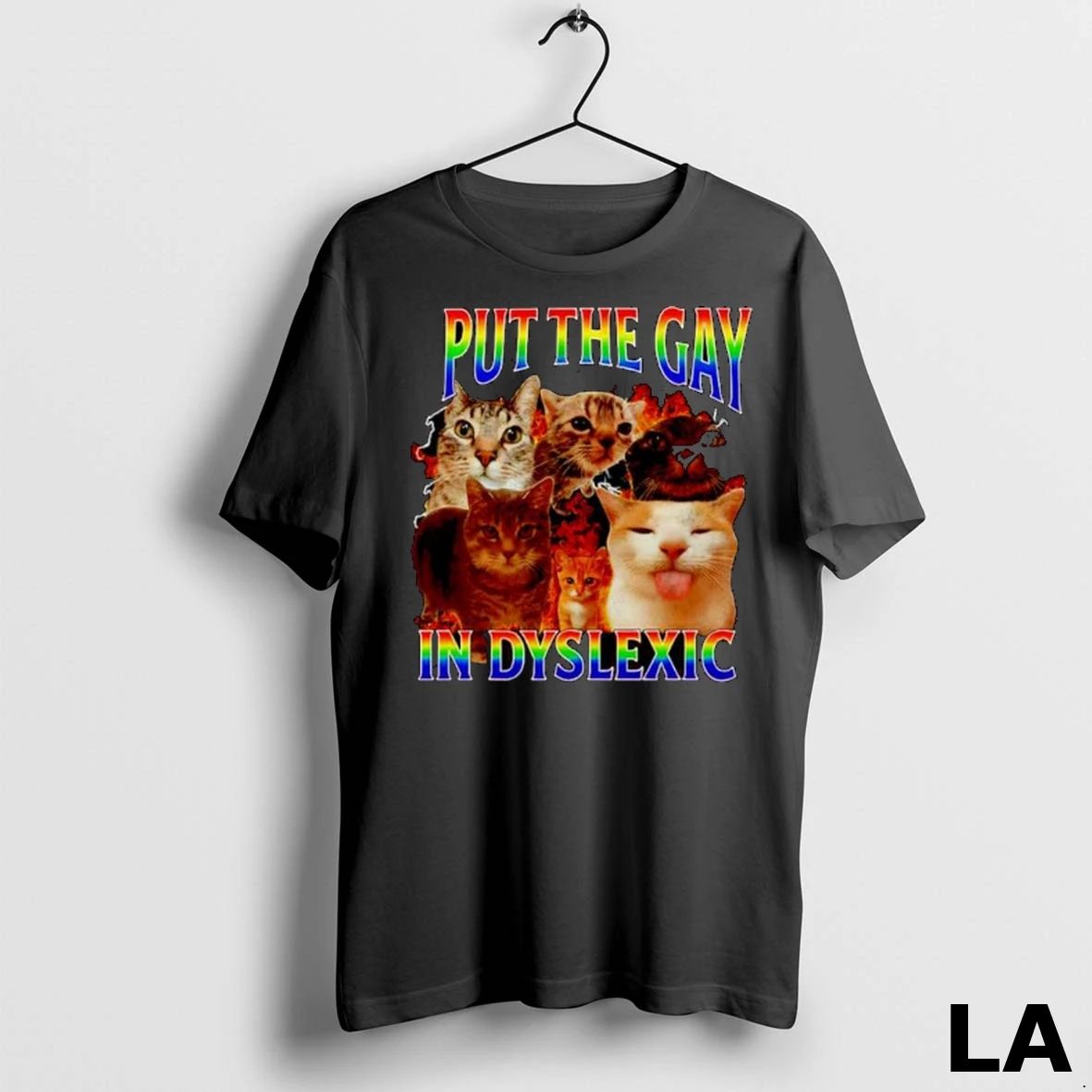 Original Megan Meiyok Wears I Put The Gay In Dyslexic Ornaments Shirt