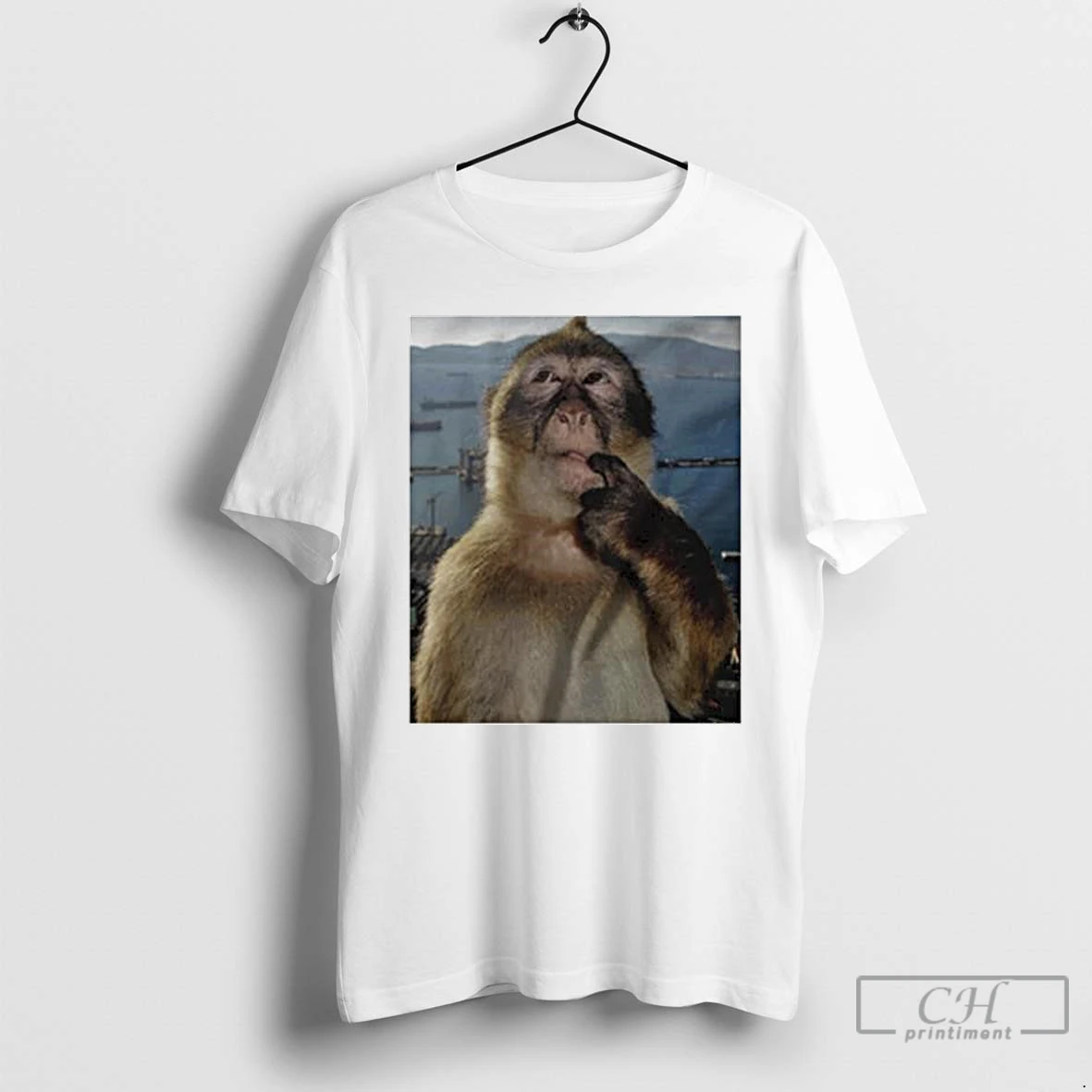 Premium Monkey Thinking Meme Ornaments T Shirts Hoodie