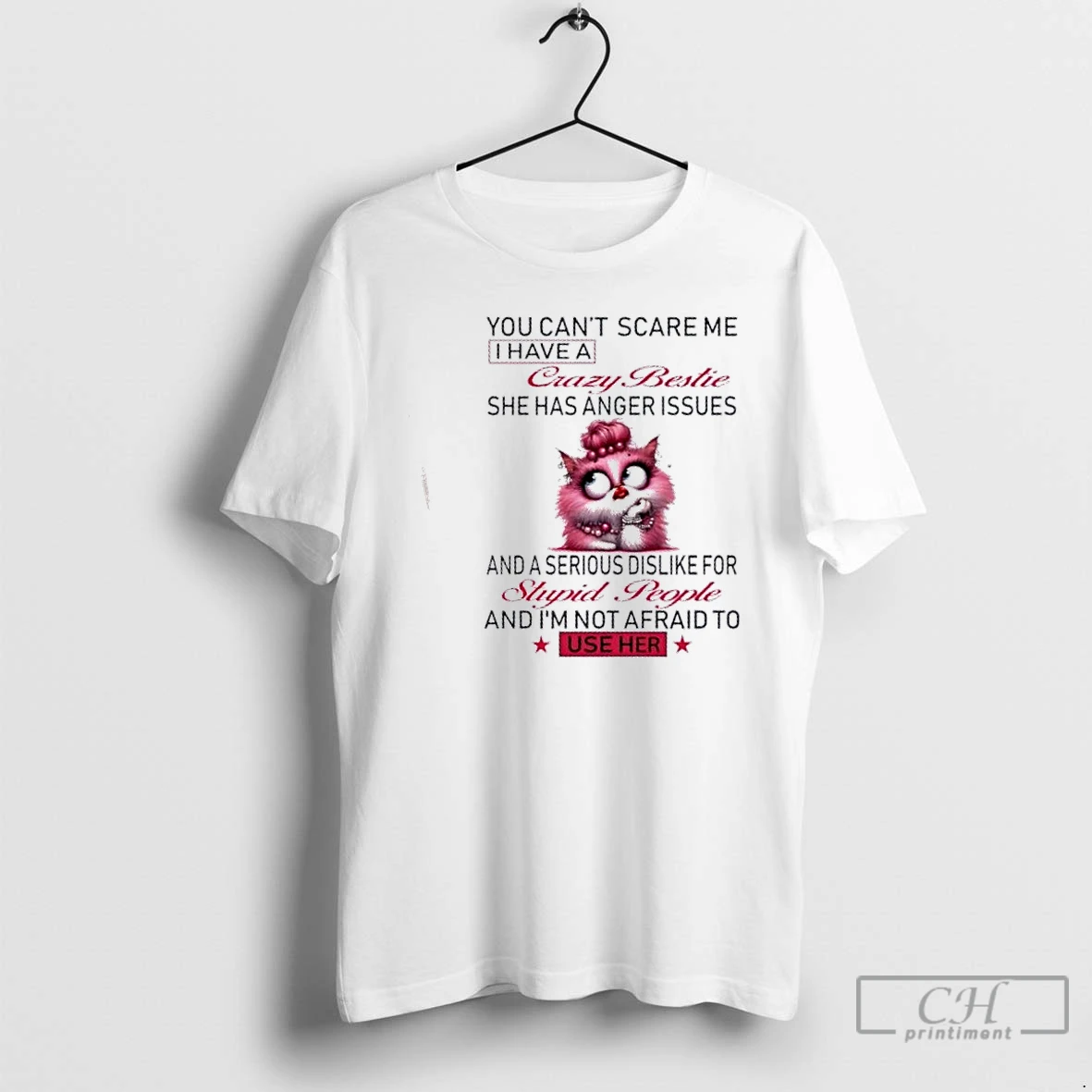 Classic Cat You Cant Scare Me I Have A Crazy Bestie She Has Anger Issues And A Serious Dislike T Shirts Sweater Hoodie