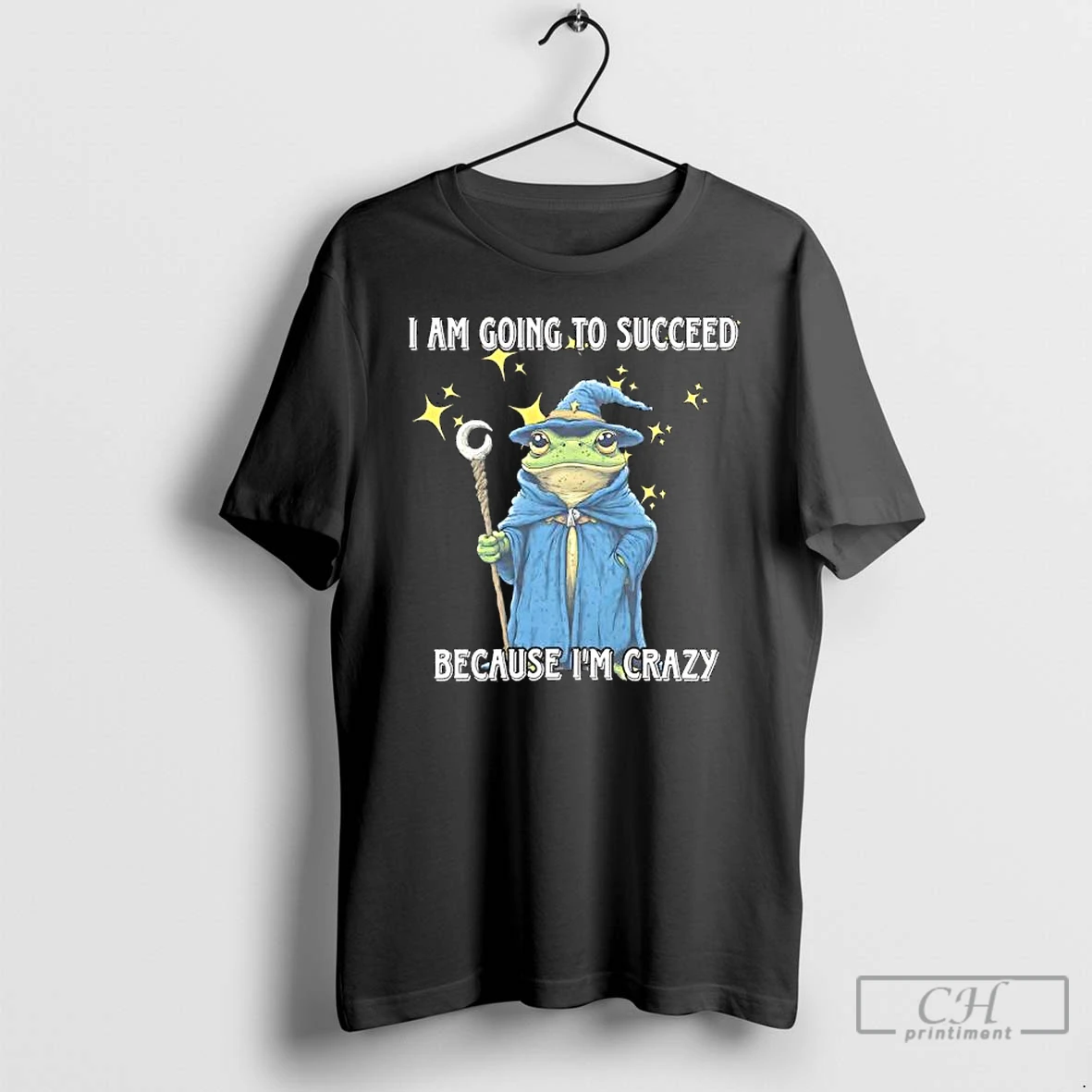 Classic Wizard Frog I Am Going To Succeed Because Im Crazy T Shirts Sweater Hoodie
