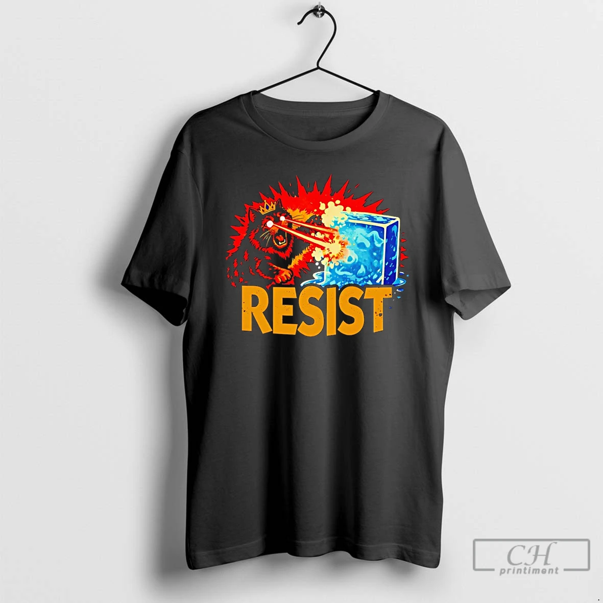 Classic Resist Princess Donut Anti Fascist Protest Dungeon Crawler Carl T Shirts Sweater Hoodie