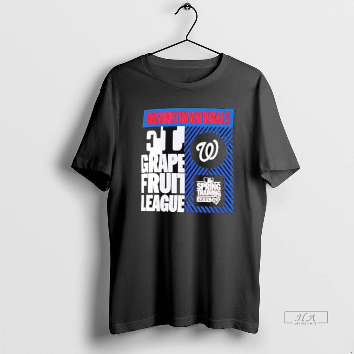 Official Washington Nationals 2026 Spring Training True Icon T Shirt