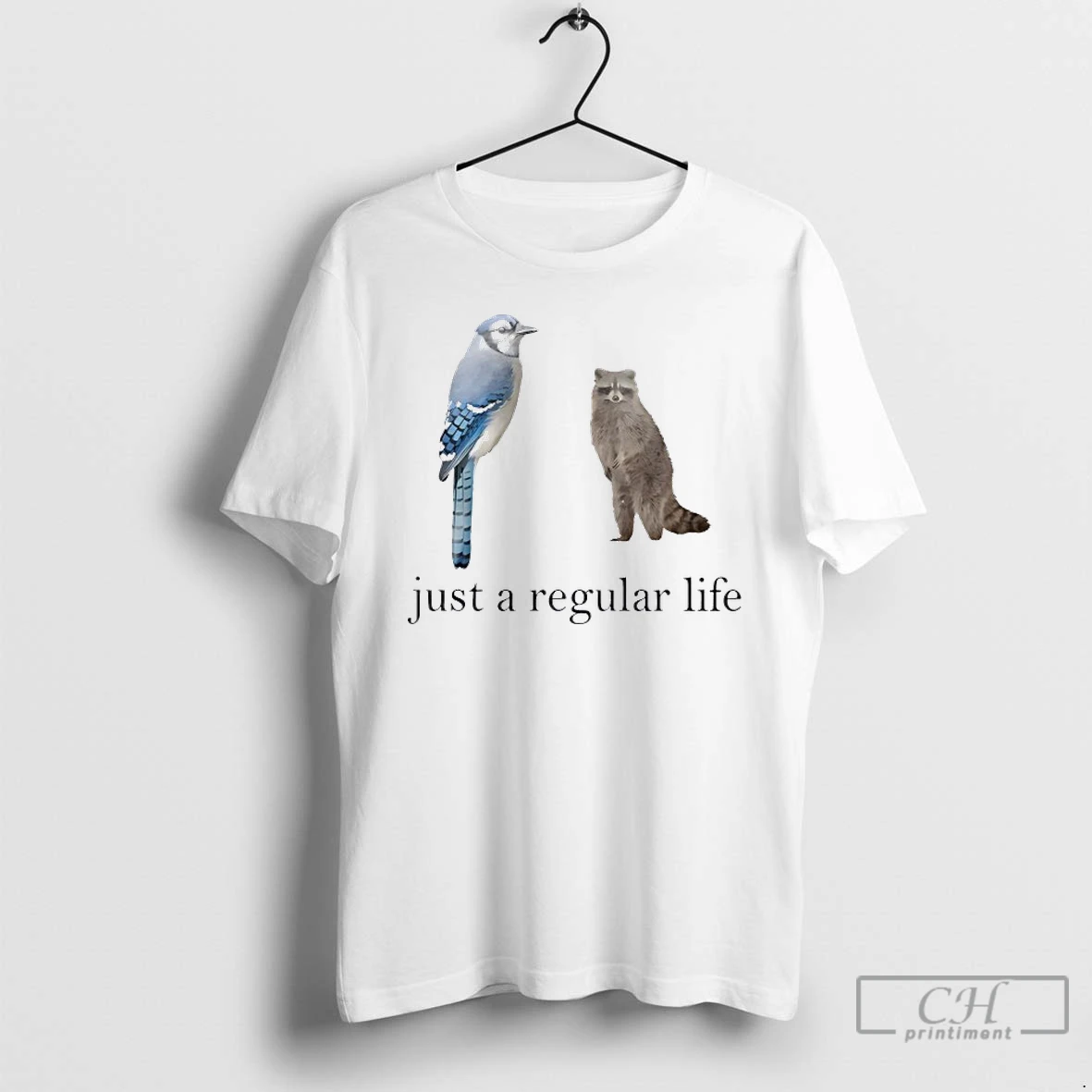 Classic Just A Regular Life Raccoon And Bird Blue T Shirts Sweater Hoodie