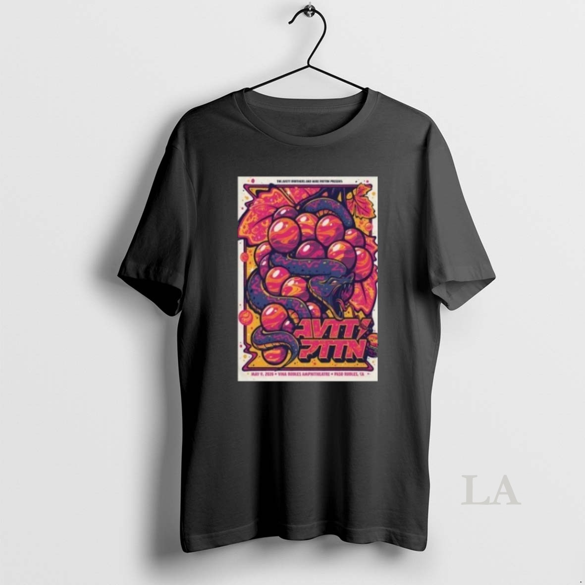 Original The Avett Brothers In Paso Robles Ca On May 9 2026 Shirt