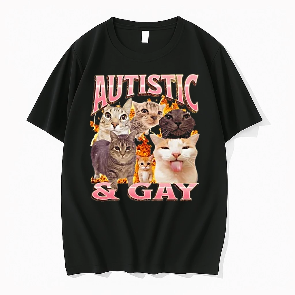 Autistic And Gay Cats Flame Aesthetic Print Aesthetic Funny Meme 0 Tshirts Sweater Hoodie