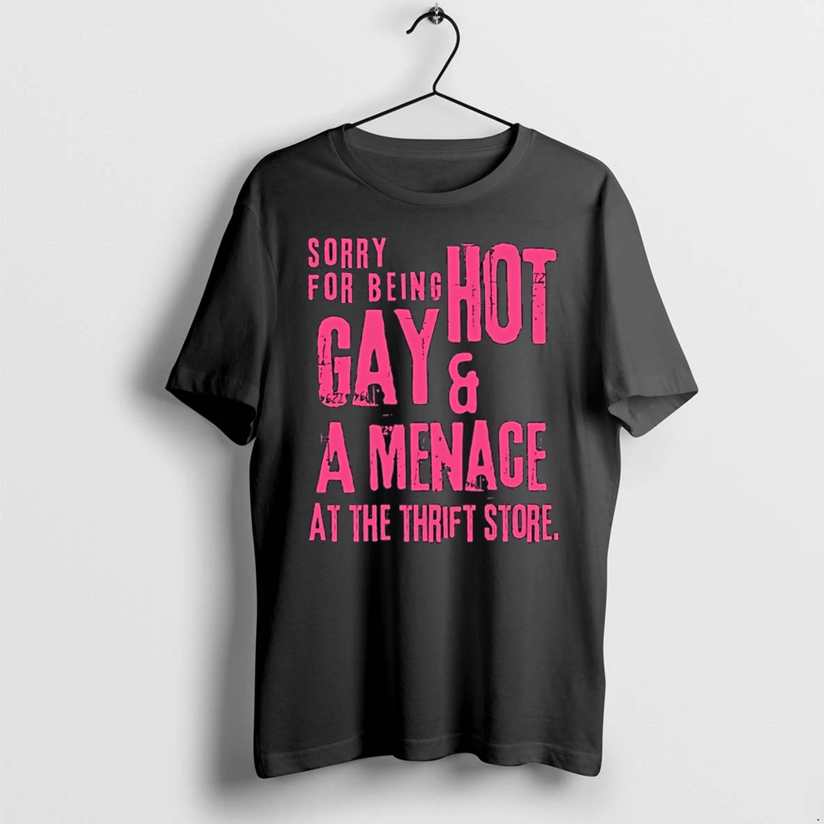 Sorry For Being Hot Gay And A Menace At The Thrift Store 0 Tshirts Sweater Hoodie