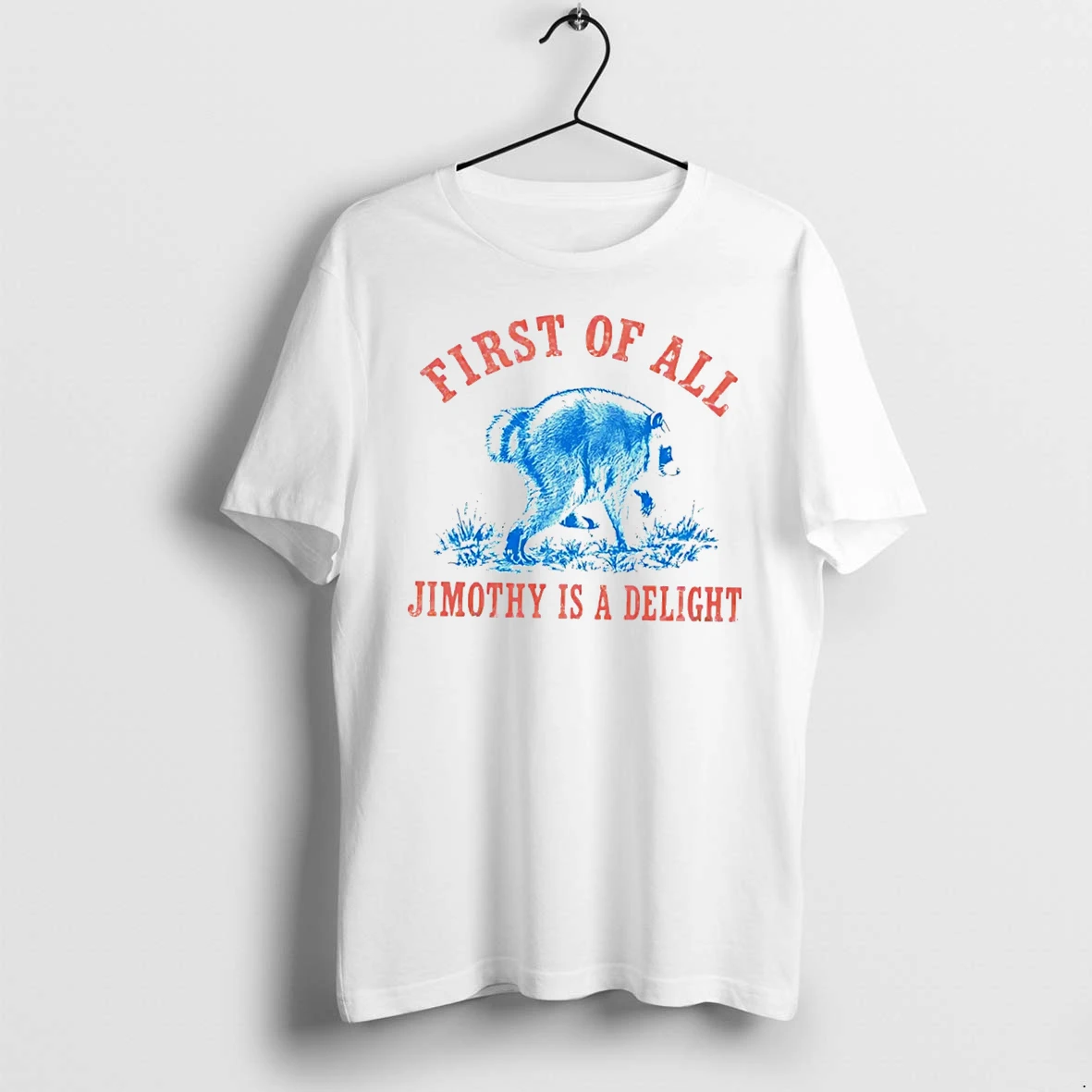 Officials Jimothy Raccoon First Of All Jimothy Is A Delight Tee Premium T Shirt Sweatshirt Hoodie