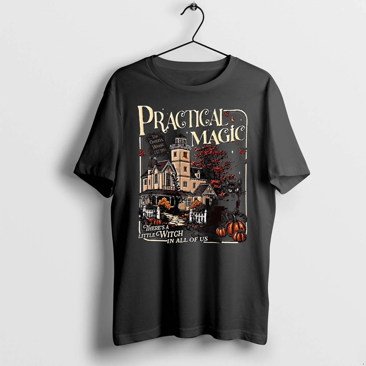 Practical Magic The Owens House There Is A Little Witch In All Of Us 0 Tshirts Sweater Hoodie